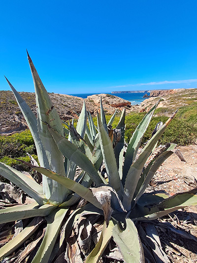 Yoga & Wander-Retreat